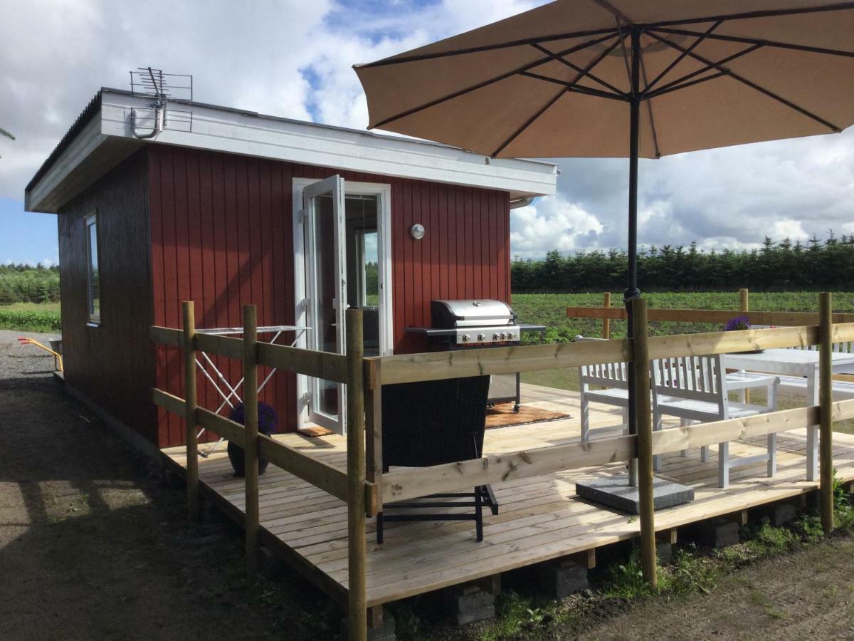 Feriehytten Honsehuset Villa Løkken Exteriör bild